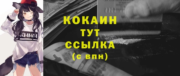 твердый Зеленодольск