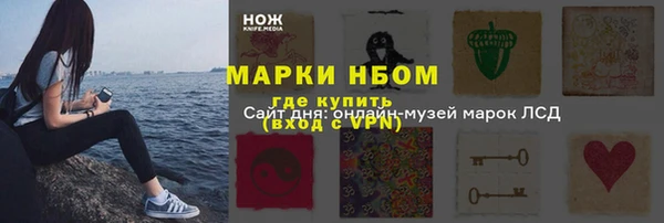 твердый Зеленодольск
