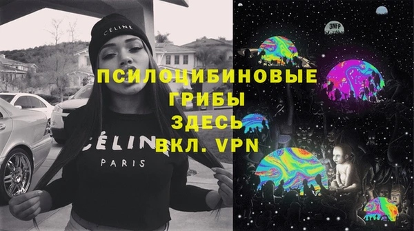 твердый Зеленодольск