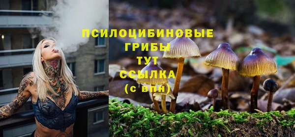 синтетический гашиш Зеленокумск