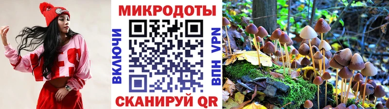 Галлюциногенные грибы мицелий  Кунгур 