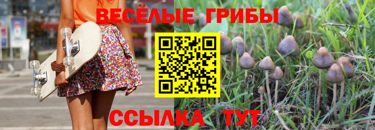 Кунгур  Галлюциногенные грибы мицелий  Вход с VPN 